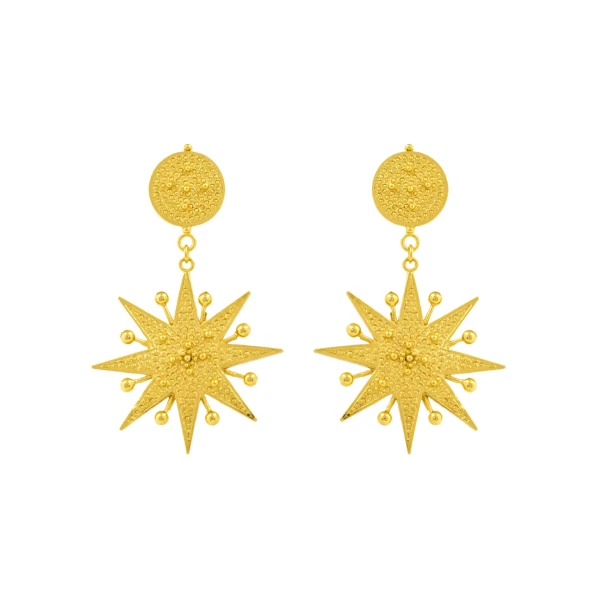 Flor Amazona women’s diamantina gold earrings Jewelry  Luxury Shoes 