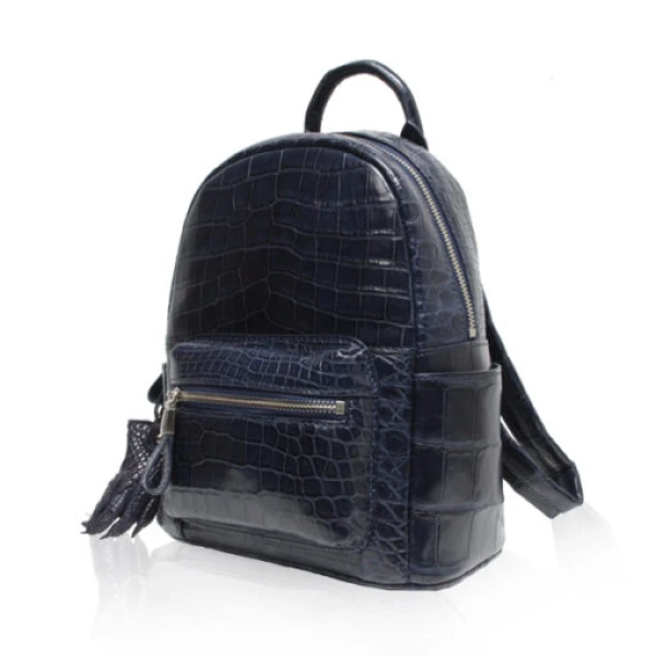 Blue Renny Belly Crocodile Backpack Men backpack Luxury Shoes 