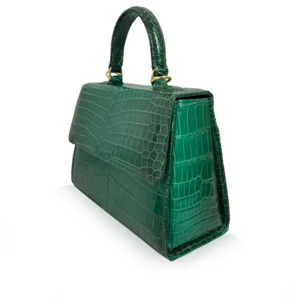 Bangkok Bootery Goldmas shiny two tone green limited crocodile handbags, view 2