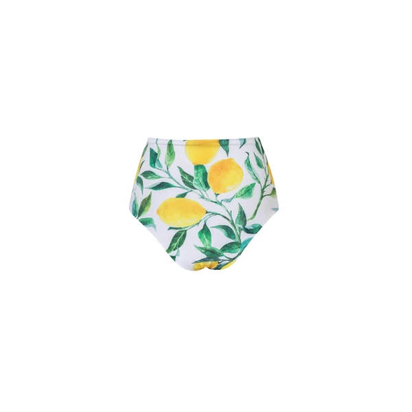 high waisted bikini bottom