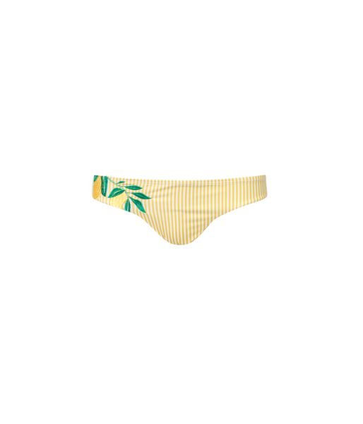 Embroidered bikini bottom