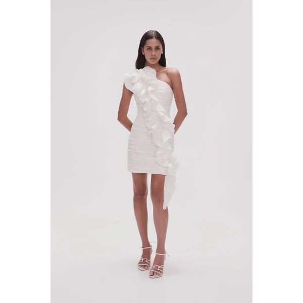 aje dress