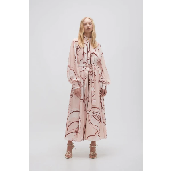 aje dress