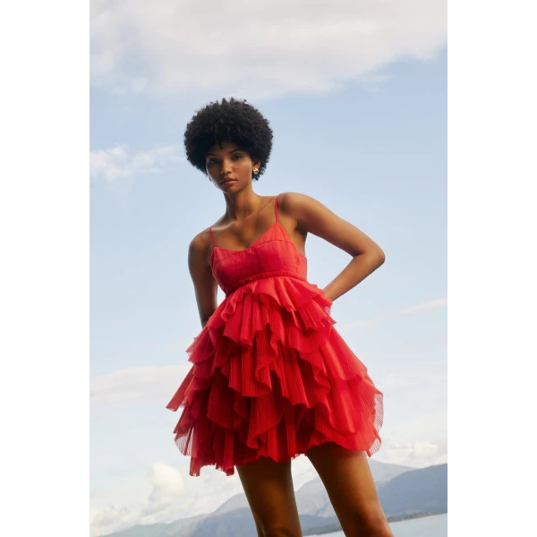 aje dress