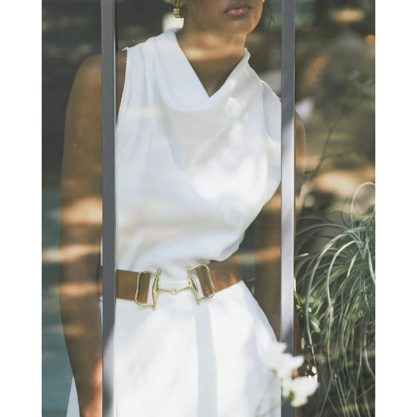 aje dress