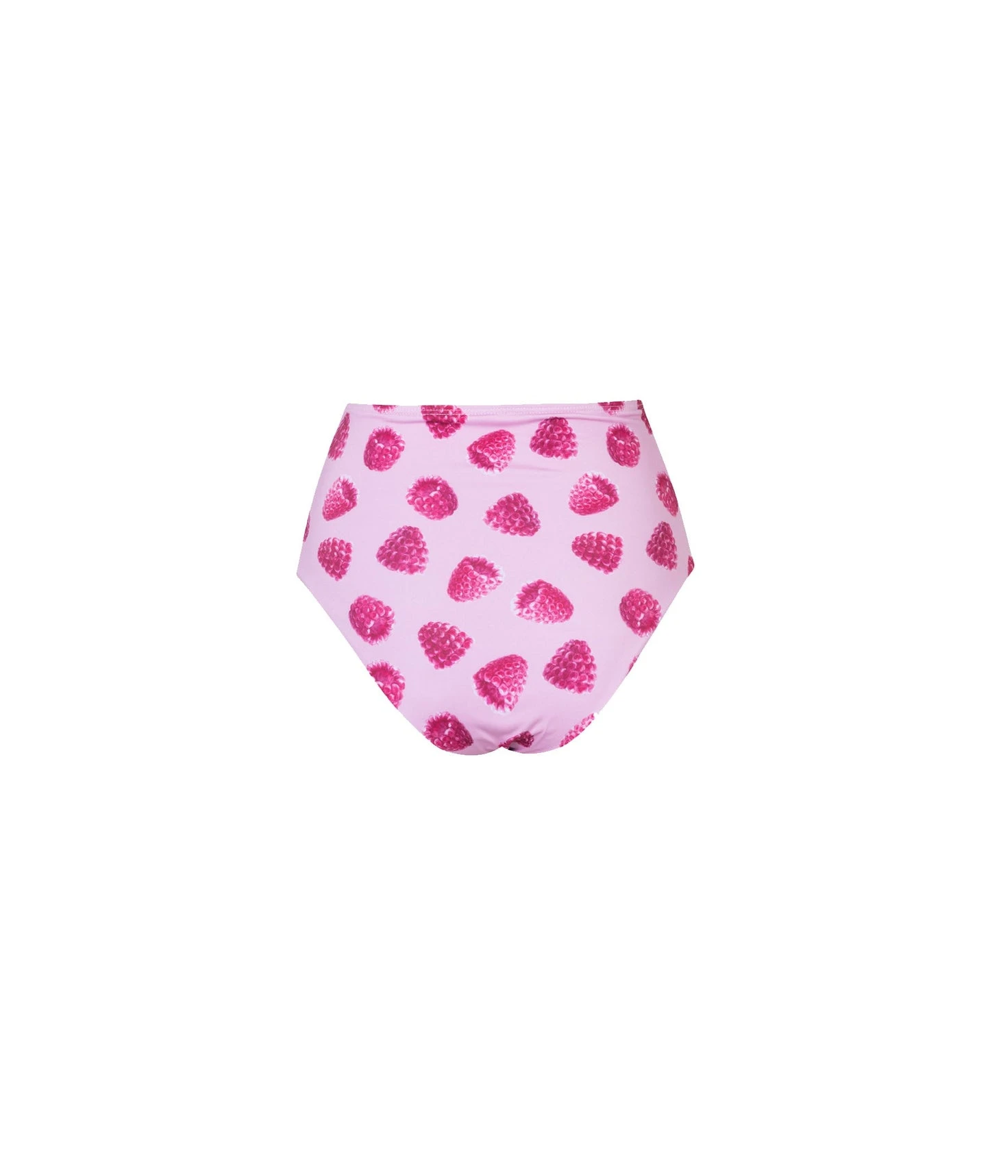 Banes-Bottom-Pink-Raspberries-Back_9d551419-3cb1-4cf0-8078-782f307fe6a0_1445x swimwear