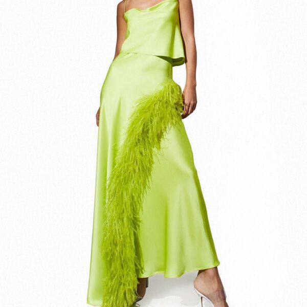 Lapointe Feather Asymmetrical Skirt
