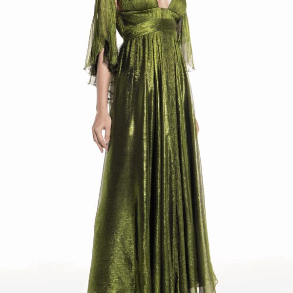 Maria Lucia Hohan dress