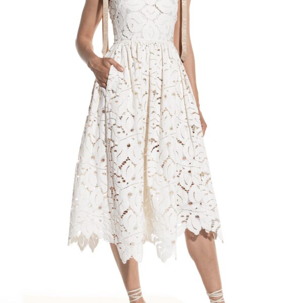 Maria Lucia Hohan Akia Floral Motifs Ivpry Midi Dress