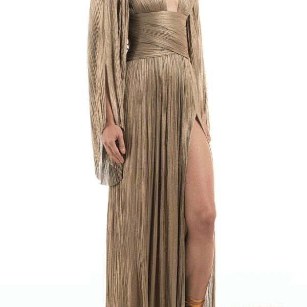 Maria Lucia Hohan dress