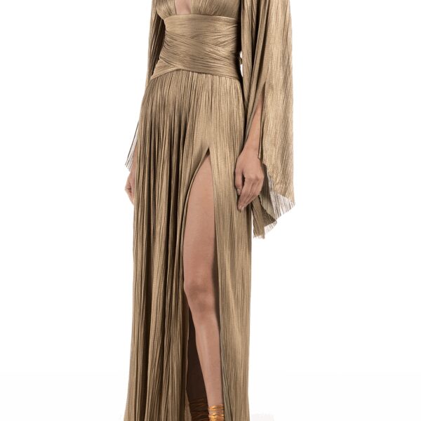 Maria Lucia Hohan Alana Flared Sleeves And A Plunging Gold Maxi Dress