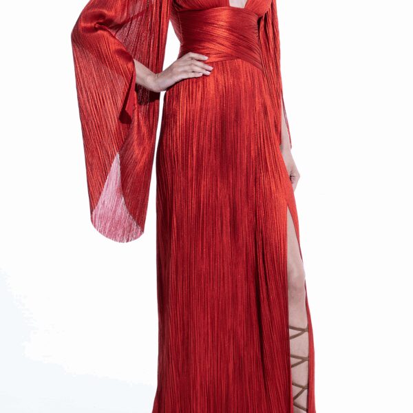 Maria Lucia Hohan dress