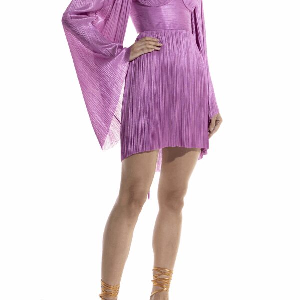 Maria Lucia Hohan dress