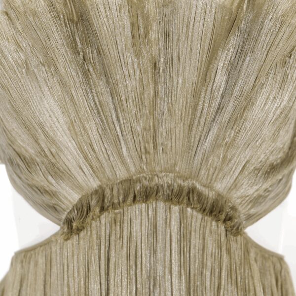 Maria Lucia Hohan dress