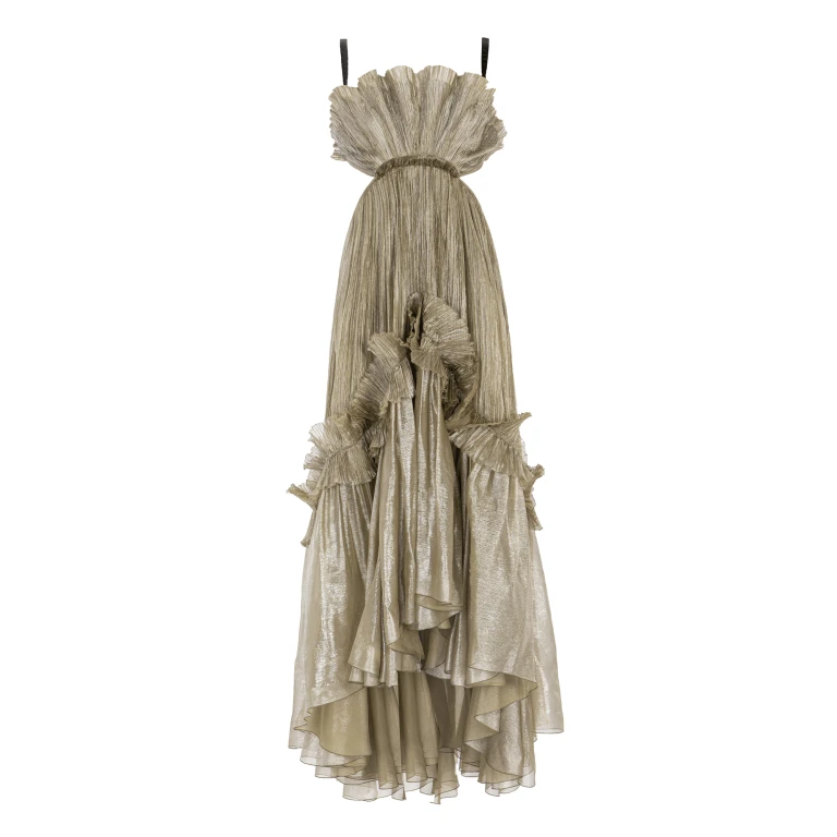 Maria Lucia Hohan gown