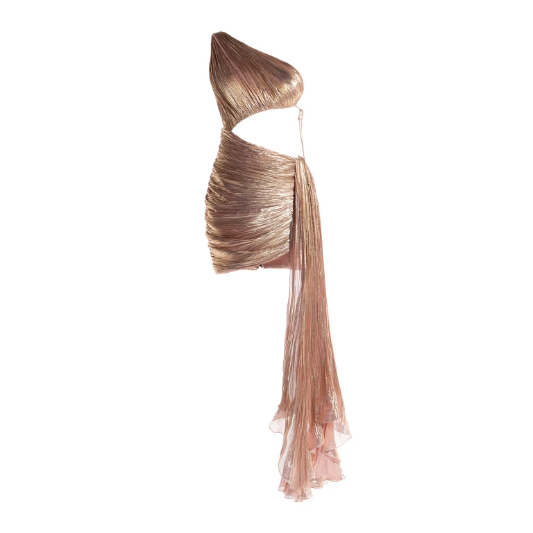 Maria Lucia Hohan gown