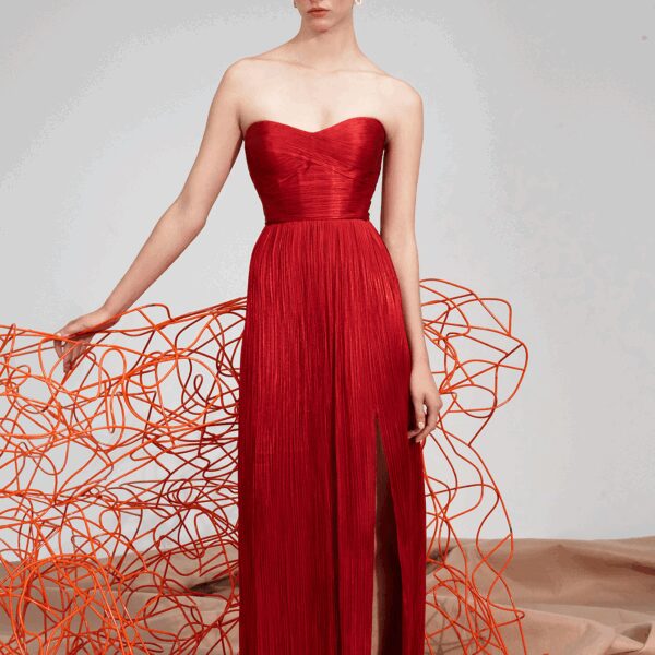 Maria Lucia Hohan Dresses