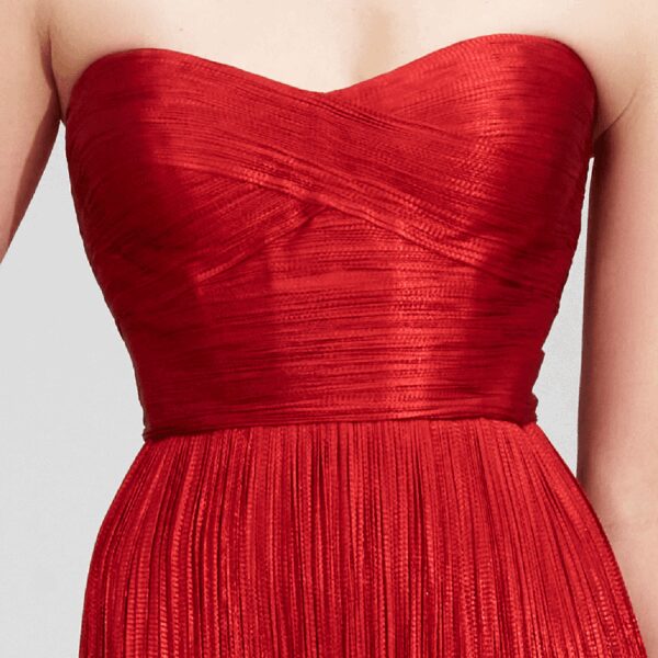 Maria Lucia Hohan dress