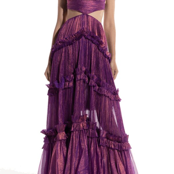 Maria Lucia Hohan dress