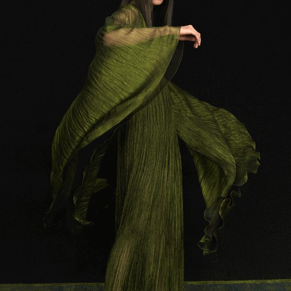 Maria Lucia Hohan Dresses