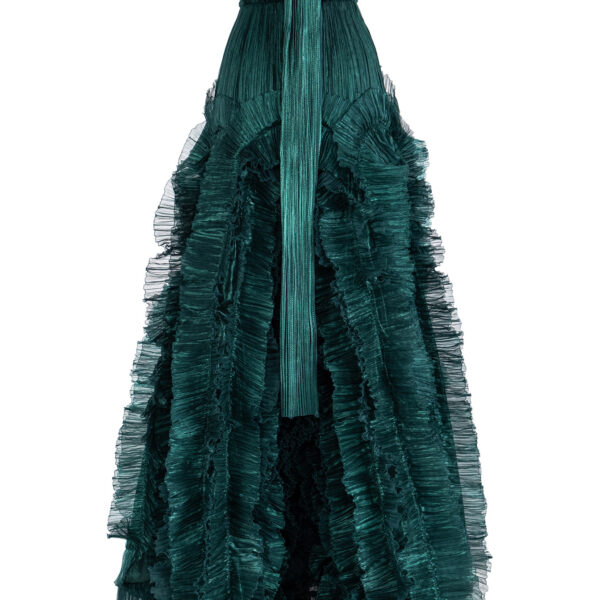 Maria Lucia Hohan dress