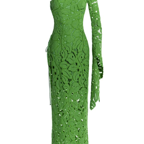 Maria Lucia Hohan dress