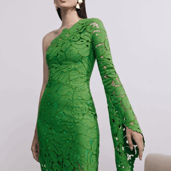 Maria Lucia Hohan Hart One Shoulder Maxi Dress