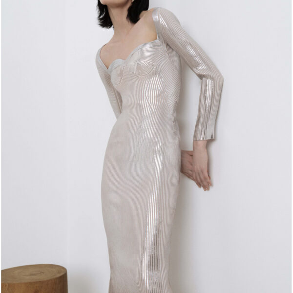 Maria Lucia Hohan dress