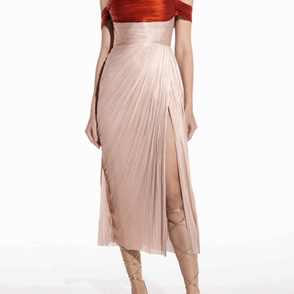 Maria Lucia Hohan dress