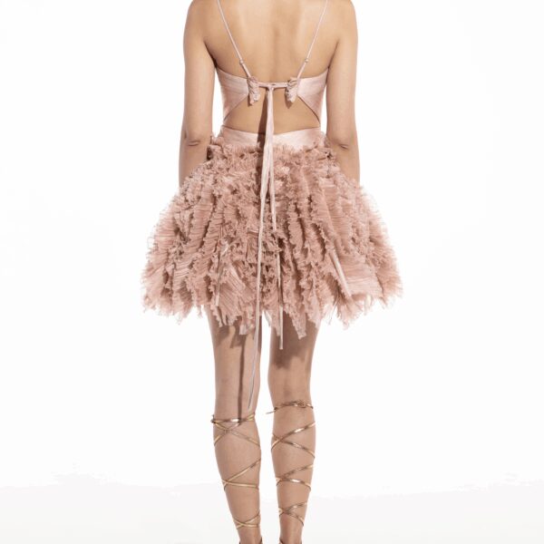 Maria Lucia Hohan Kate Silk Tulle Mini Dress