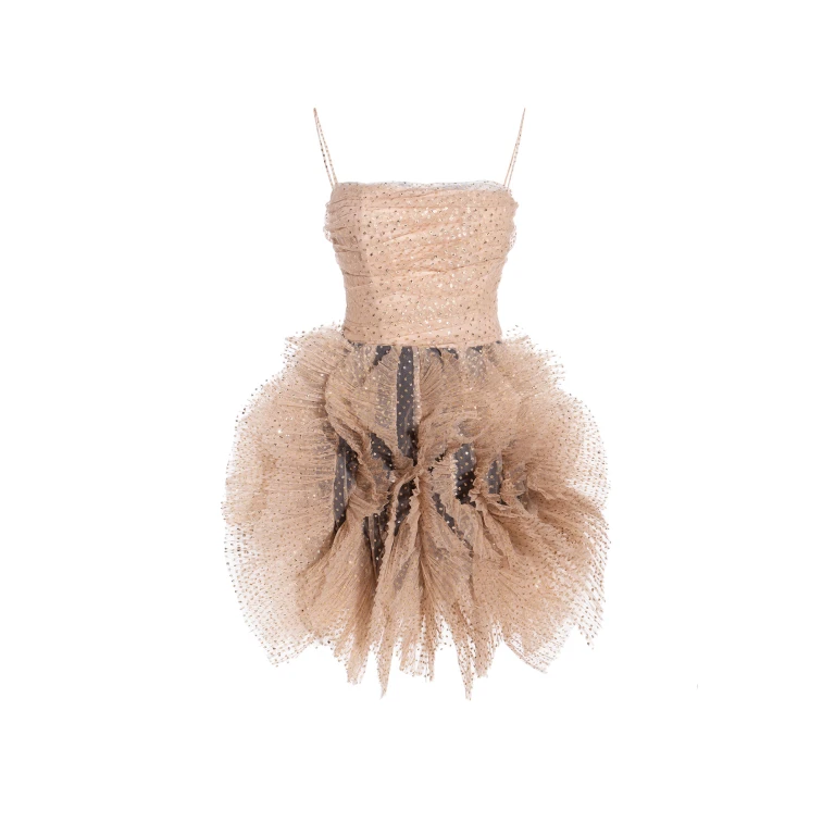 Maria Lucia Hohan gown