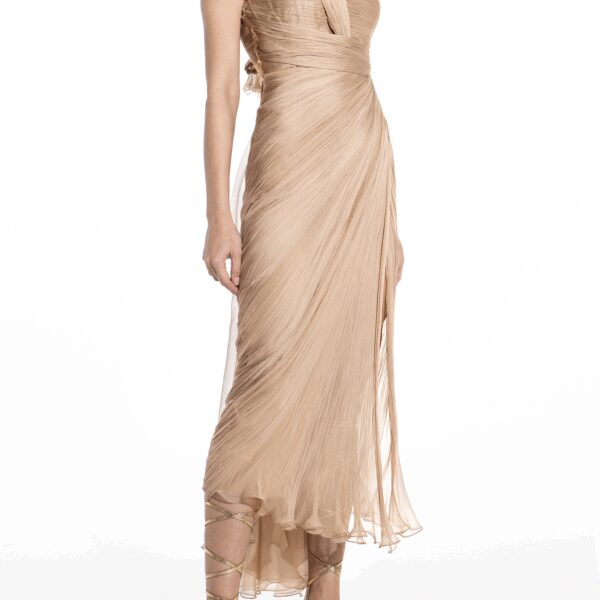 Maria Lucia Hohan dress