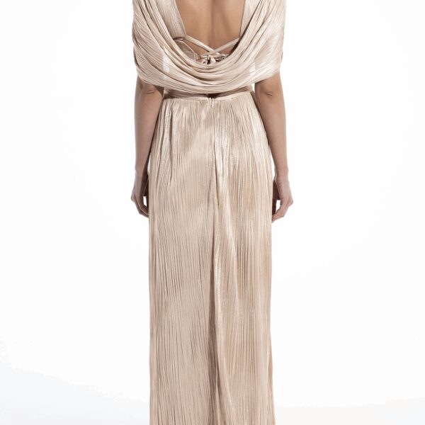 Maria Lucia Hohan dress