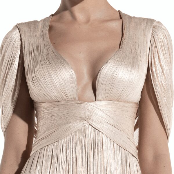 Maria Lucia Hohan Laurel Built-In Cape Gown