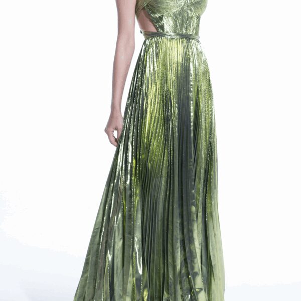 Maria Lucia Hohan dress