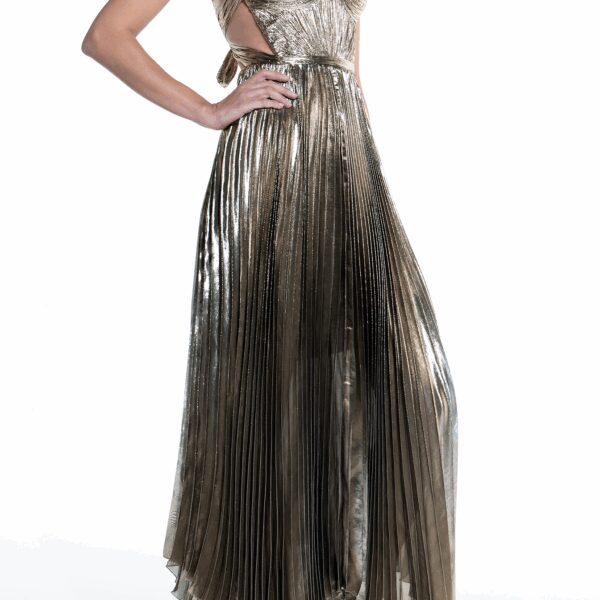 Maria Lucia Hohan dress
