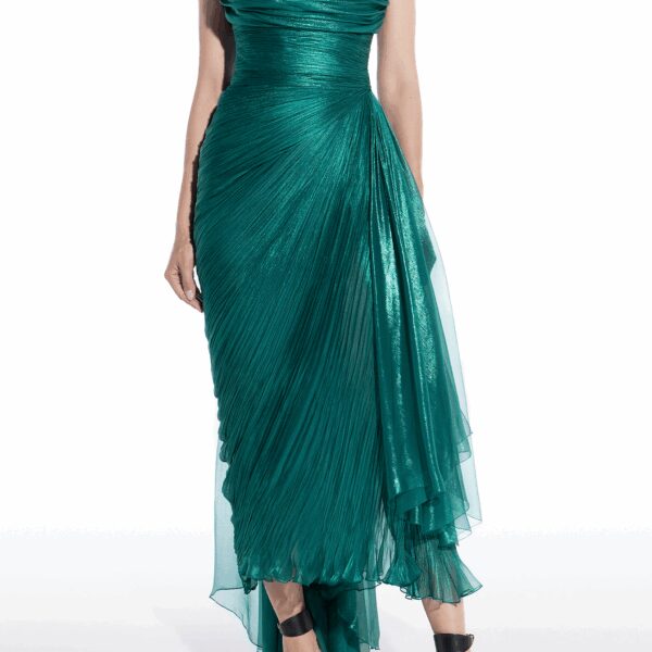 Maria Lucia Hohan dress
