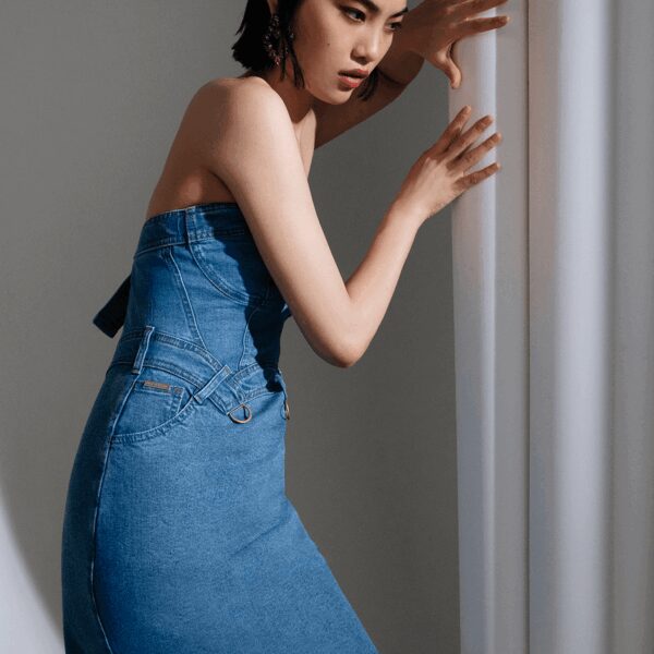 Maria Lucia Hohan dress