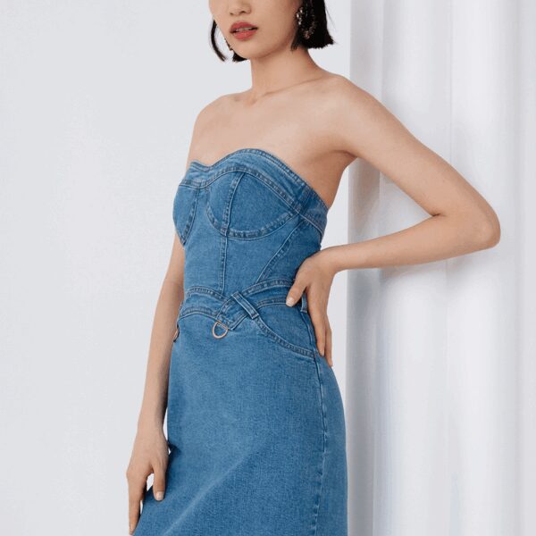 Maria Lucia Hohan Rawnie Denim Midi Dress