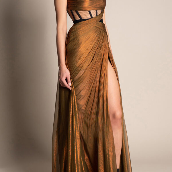 Maria Lucia Hohan dress
