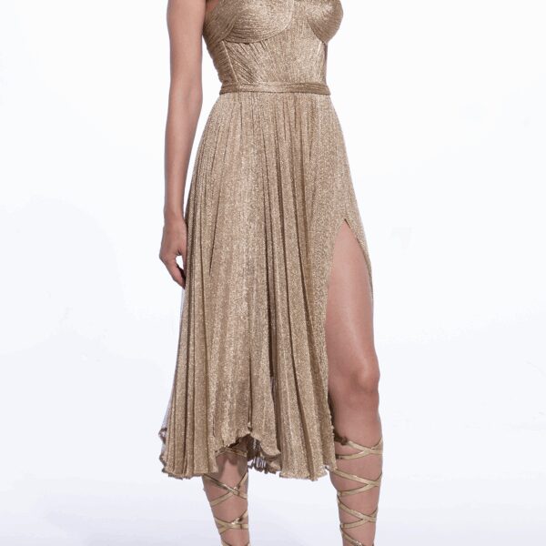 Maria Lucia Hohan dress