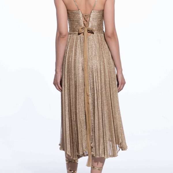 Maria Lucia Hohan Zaria Corset Midi Dress