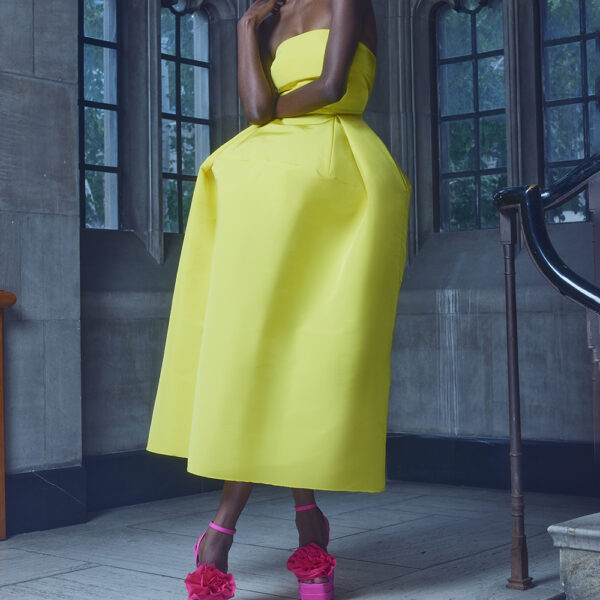 Greta Constantine Rin Big Skirt Dress Rin Big Skirt Dress Clothing Canadian Designer Luxury Shoes 