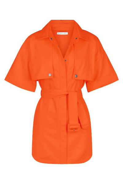 Shona Joy dress
