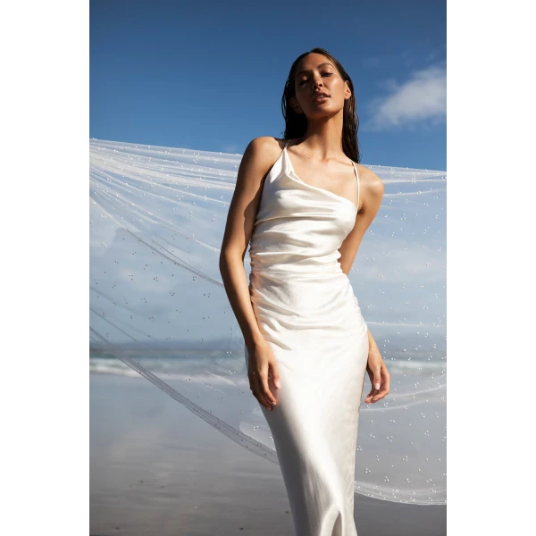 Shona Joy dress