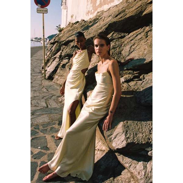 Shona Joy dress