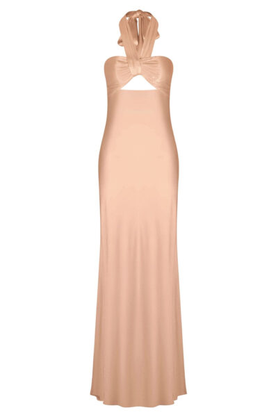 Shona Joy dress
