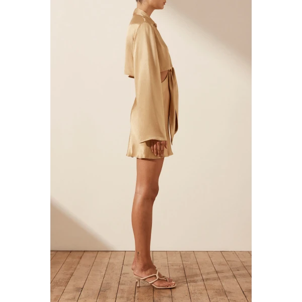 Shona Joy Oliviera Long Sleeve Tie Front Mini Dress - Taffy