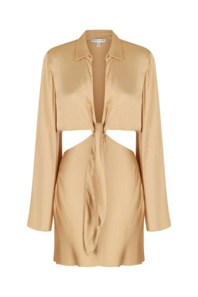 Shona Joy dress