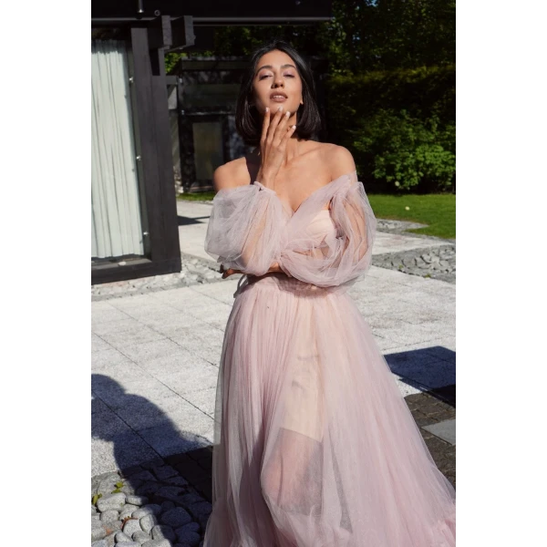 Misty Rose Sheer Sleeves Maxi Tulle Dress - Image 7